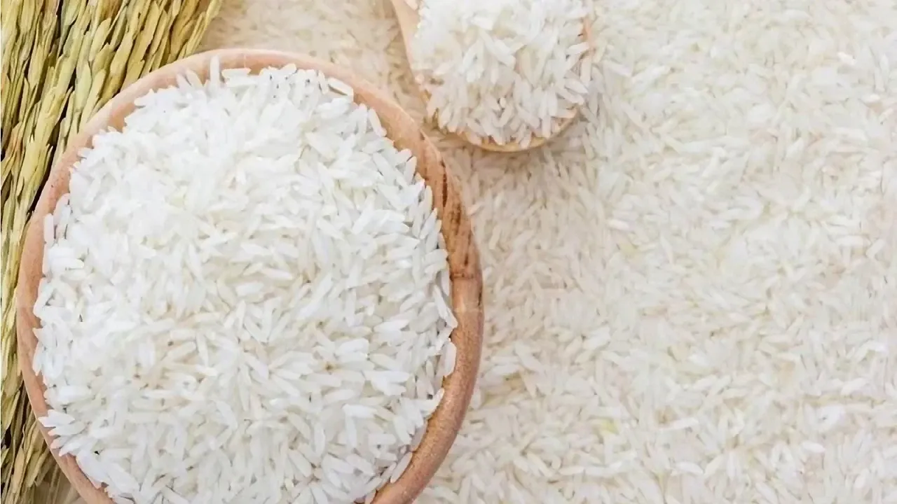 تراجع صادرات الأرز الهندي يضغط على أسواق الخليج والعراق