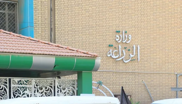 العراق يعيد تقييم عقود الغابات بعد تسجيل تجاوزات أضرت بالغطاء النباتي