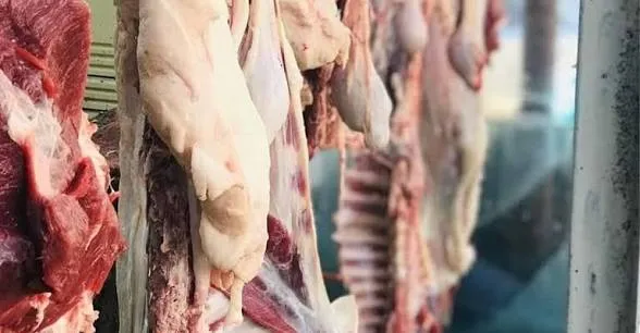 إغلاق 3 محال وإتلاف لحوم غير صالحة للاستهلاك في الأنبار